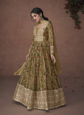 Pure Organza Silk Gown in Beige